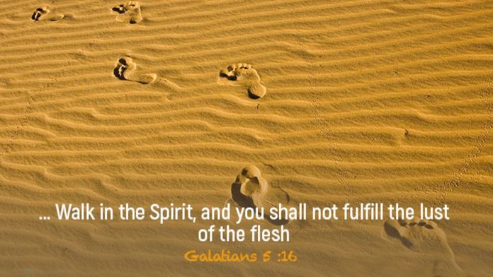 Walk in the Spirit Galatians 5:16