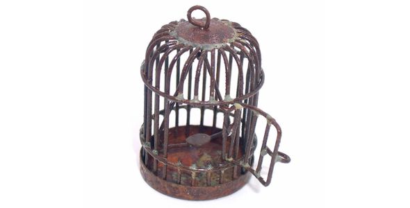 Rusty Bird Cage