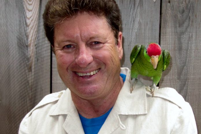 Amazon parrot Lucky on Terry Wilson's shoulder