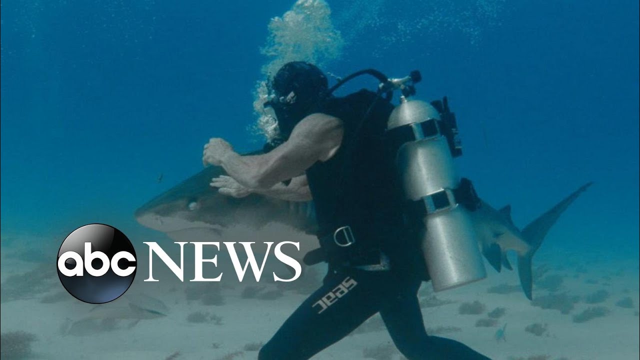Jeremiah Sullivan Tests a 'shark suit' on the Show "Man vs. Shark