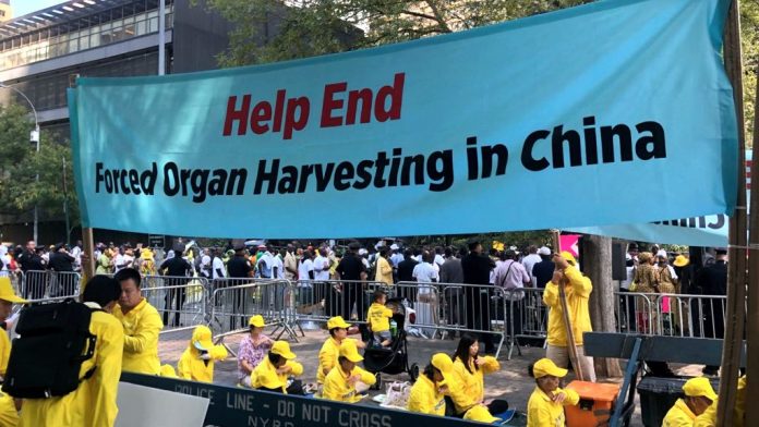 Helped End Forced Organ Harvesting in China