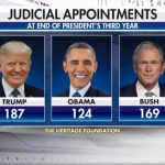 Trump's Judicial Appointments