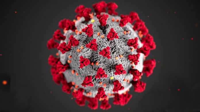 Coronavirus disease (COVID-19)