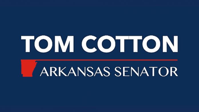 Tom Cotton Arkansas Senator