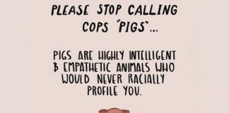 PLEASE STOP CALLING COPS "PIGS" Pigs are Highly Intelligent & Empathetic Animals Who Would Never Radically Profile You