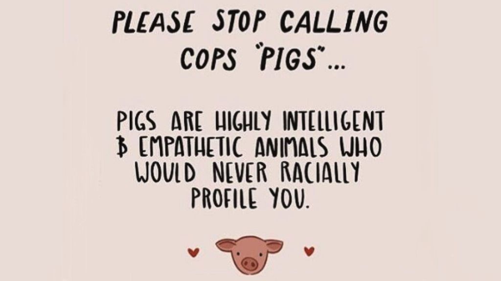 PLEASE STOP CALLING COPS "PIGS" Pigs are Highly Intelligent & Empathetic Animals Who Would Never Radically Profile You.
