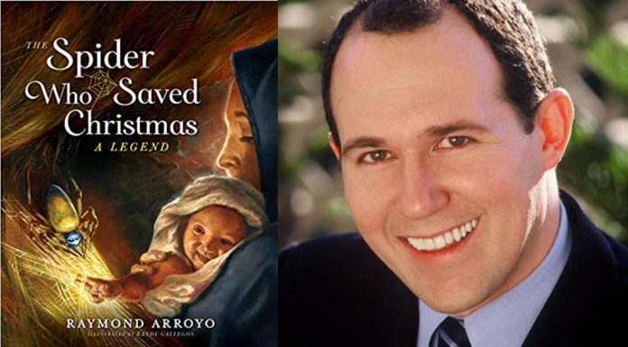 The Spider Who Saved Christmas by Raymond Arroyo