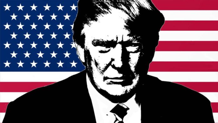 Donald Trump Art With Flag