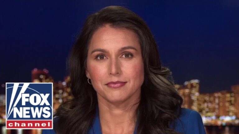 Tulsi Gabbard: Proposed domestic terrorism laws ‘directly undermine’ freedom