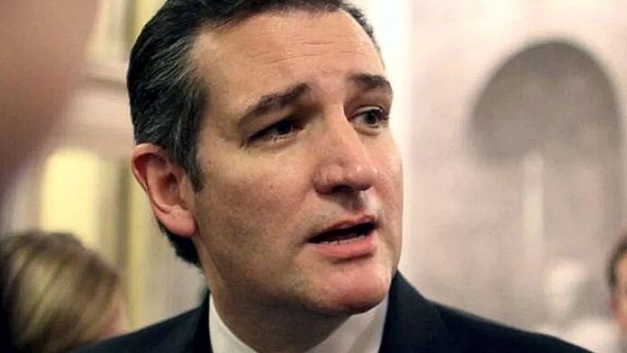 Ted Cruz 2015