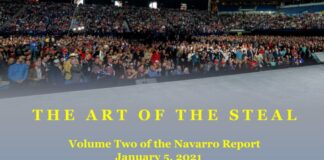 The Art of the Steal by Peter Navarro - Volume Two of the Navarro Report