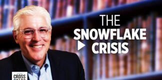 The Snowflake Crisis on Crossroads