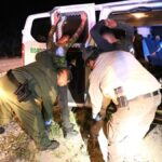 Border Arrests: Illegal Immigration