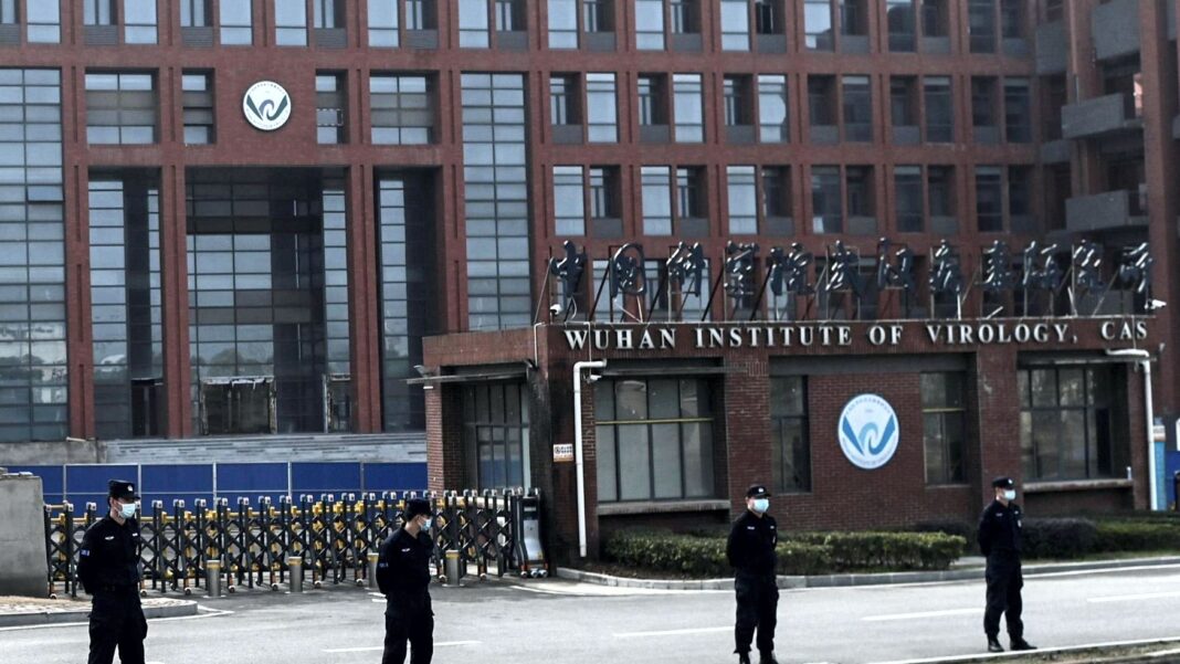 Wuhan Institute of Virology Lab