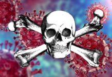 COVID-19 Virus and Skull and Crossbones