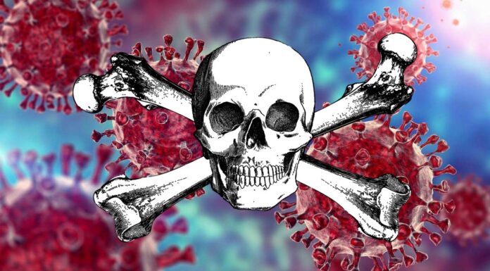 COVID-19 Virus and Skull and Crossbones