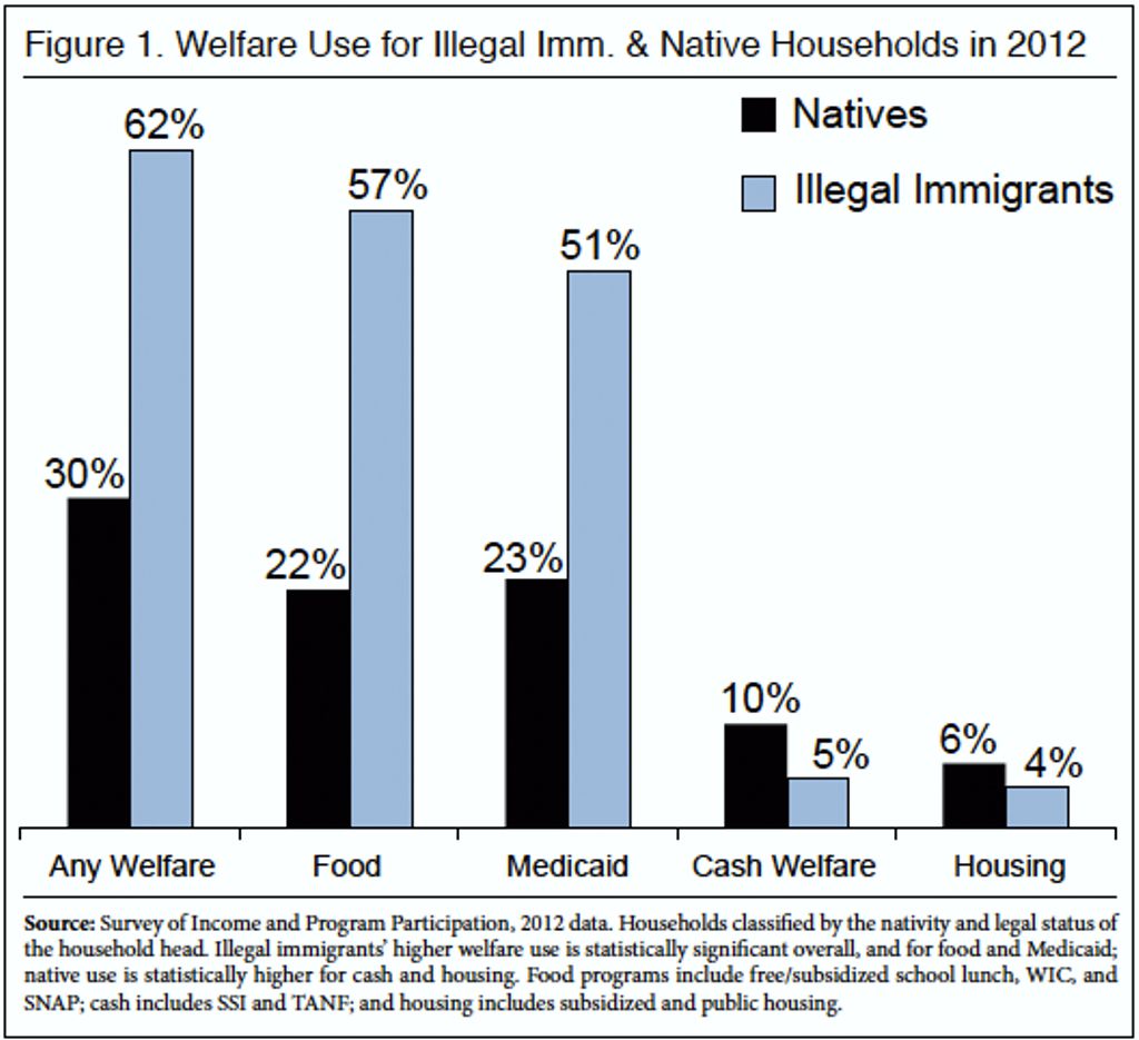 Welfare Use For Illegal Immigrants & Native Households