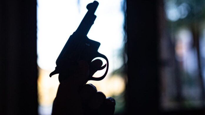 32 Caliber Handgun