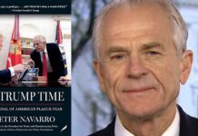 In Trump Time: A Journal of Americas Plague Year In Trump Time By Peter Navarro