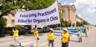 Falun Gong Practitioners Killed for Organs in China