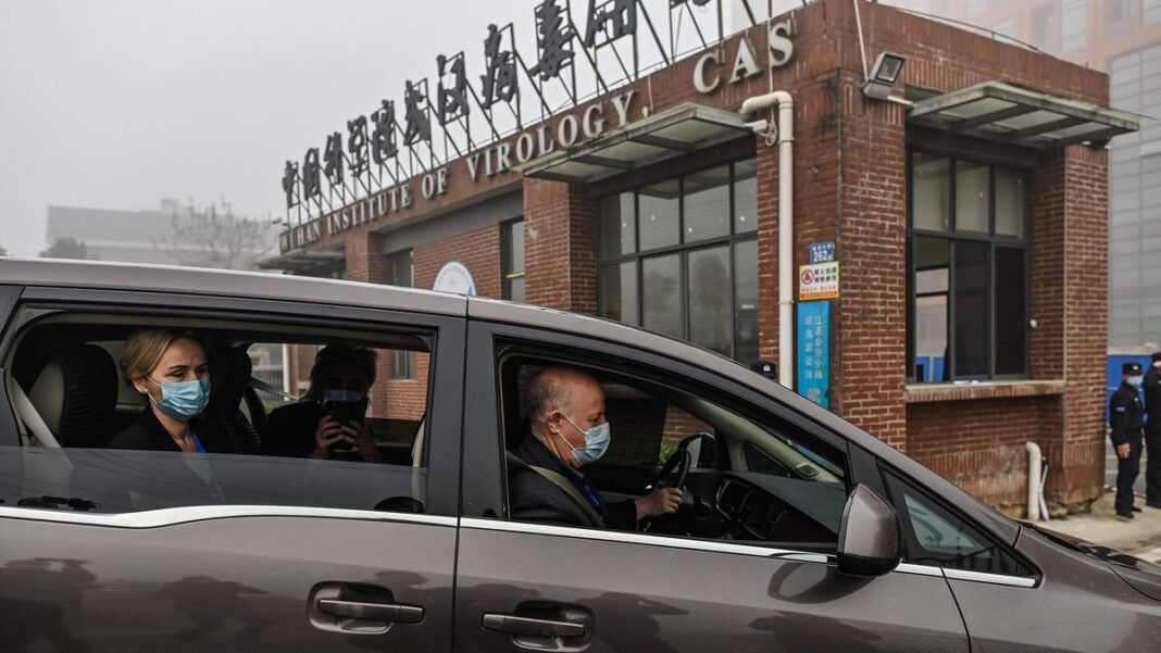 WHO at the Wuhan Institute of Virology, CAS