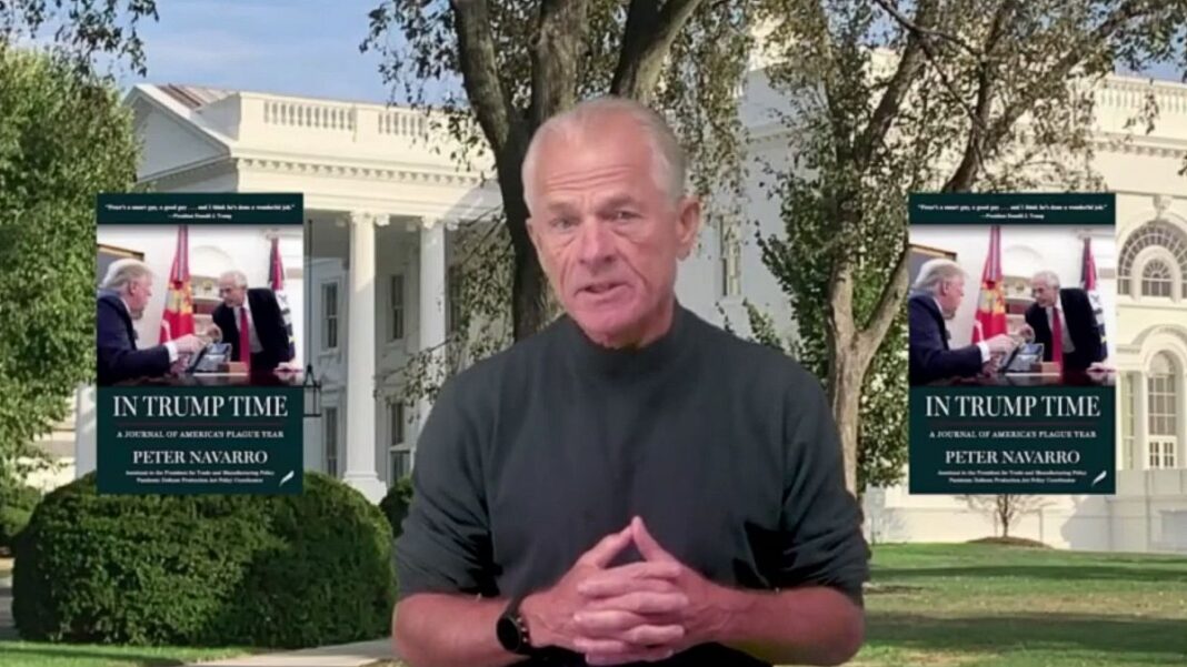 Peter Navarro In Trump Time