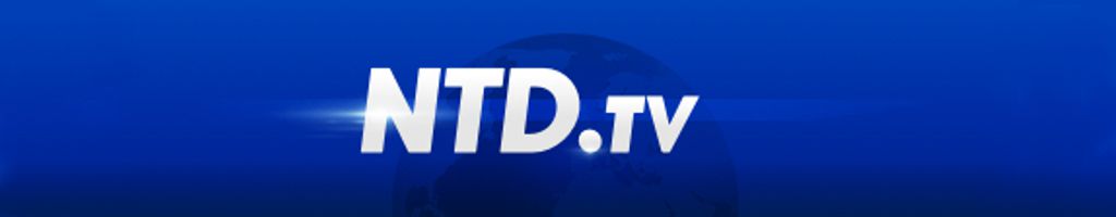 NTD TV Header