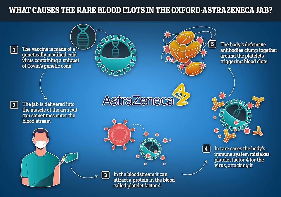 What Causes Rare Blood Clots in Oxford-Astrazeneca Jab