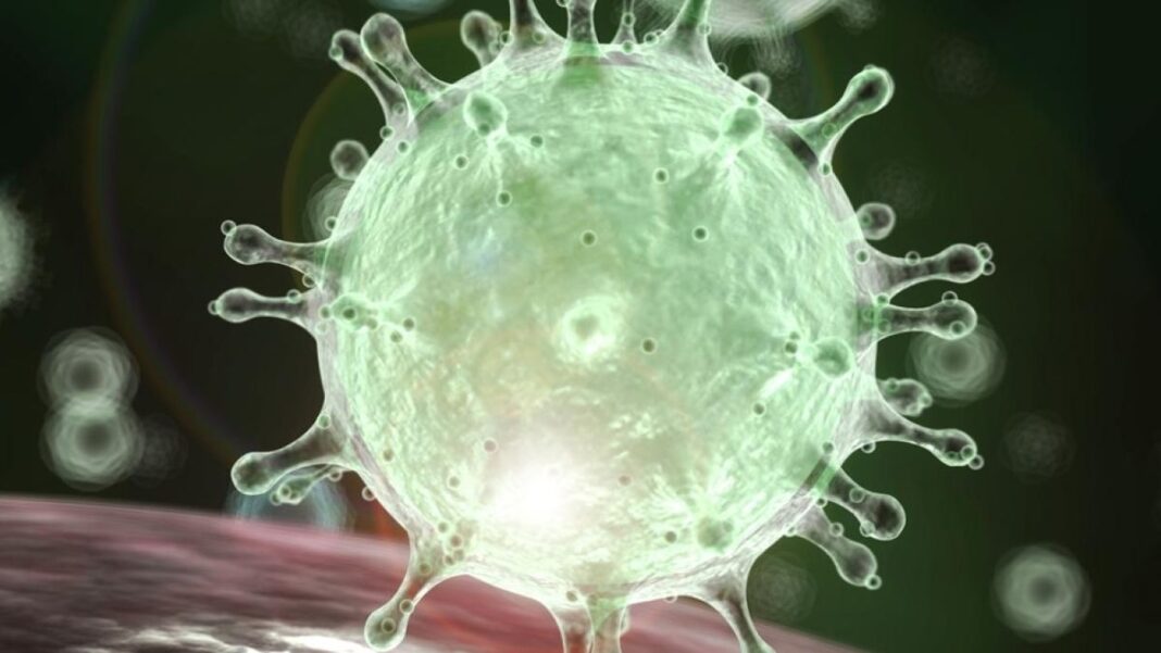 Coronavirus