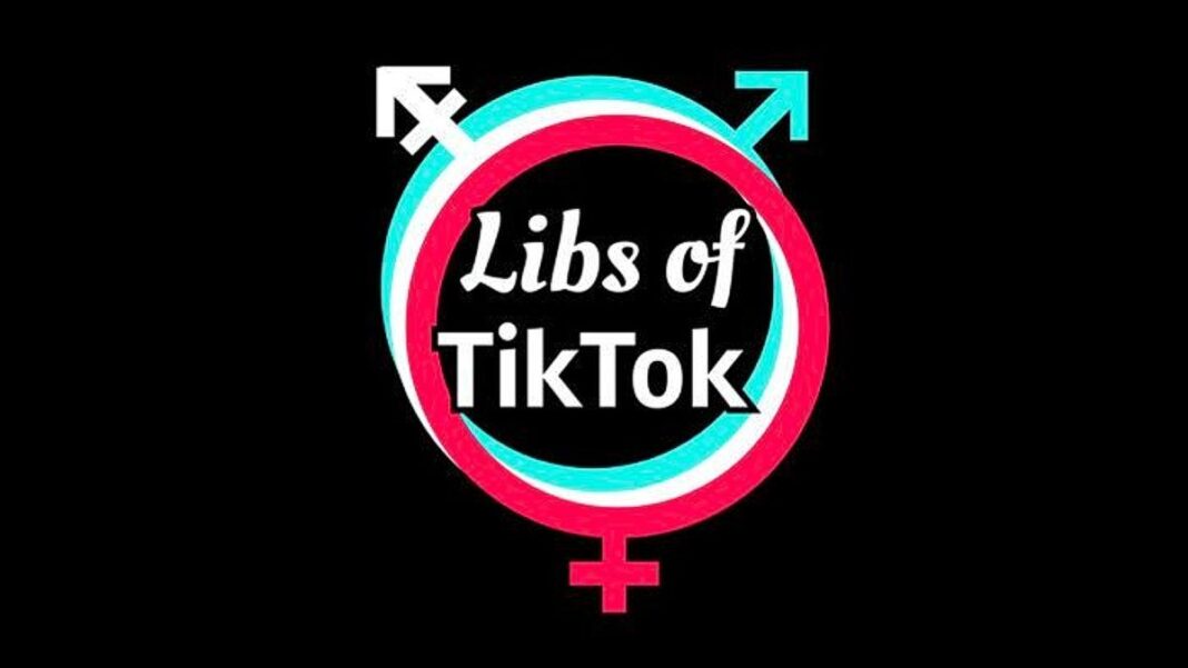 Libs of TikTok