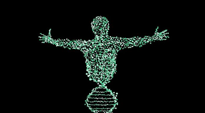 DNA genetics biotechnology mRNA vaccine human medicine