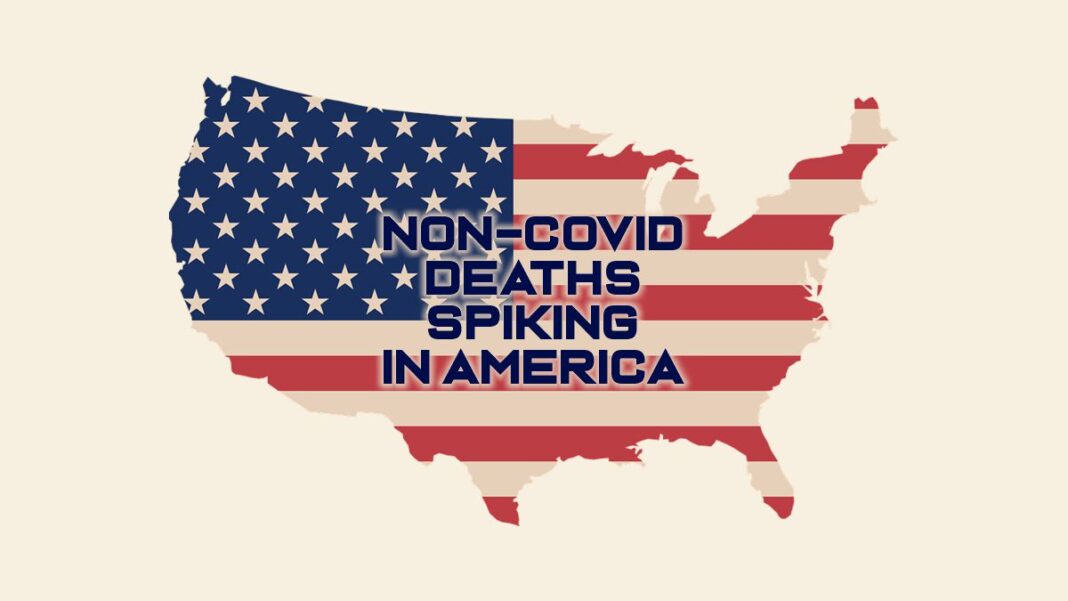 Non-COVID Deaths in America