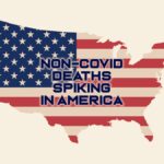 Non-COVID Deaths in America
