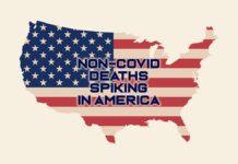 Non-COVID Deaths in America