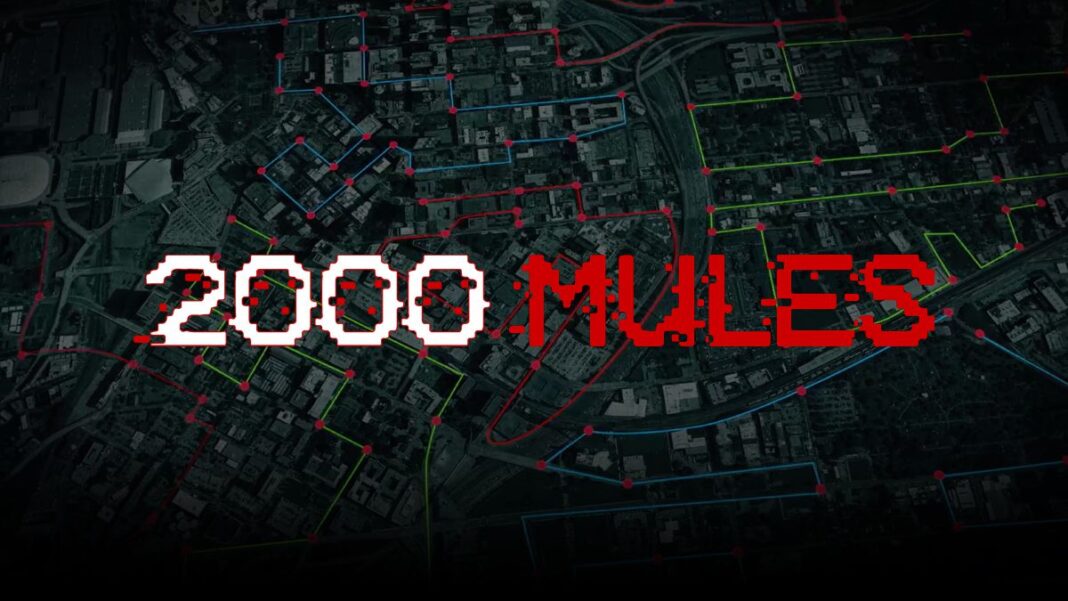 Dinesh D'Souza's Film 2000 Mules