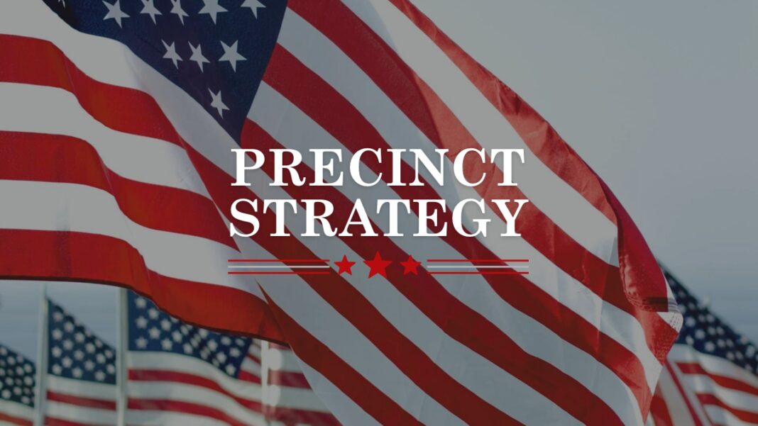 Precinct Strategy at PrecinctStrategy.com