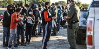 Border Patrol agents apprehend and transport illegal immigrants