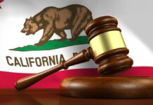 California Flag and Gavel