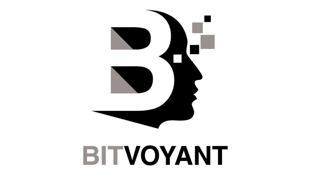BITVOYANT Logo