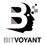 BITVOYANT Logo