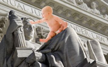 Effect of 2022 Roe v Wade Decision on Supreme Court Decision