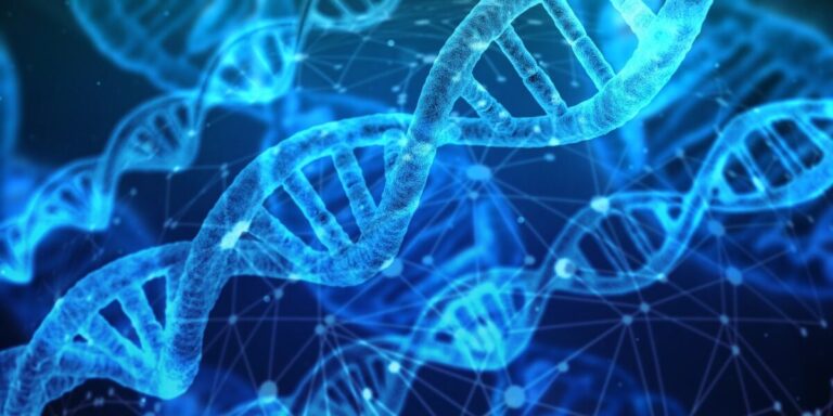 Surprising Ways to Heal Our DNA After COVID Injuries