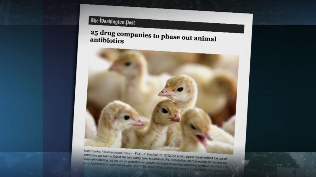 New Generation of Livestock Drugs Linked to Cancer The Thinking