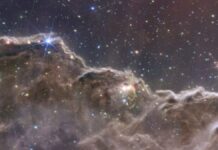 Star-Forming Region in Carina Nebula