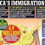 America's Immigration Crisis