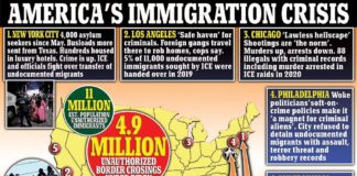 America's Immigration Crisis