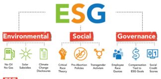 ESG Flow Chart