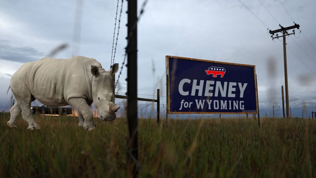 Liz Cheney Campaign Sign and Rhino