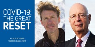 COVID-19: The Great Reset by Klaus Schwab and Thierry Malleret.