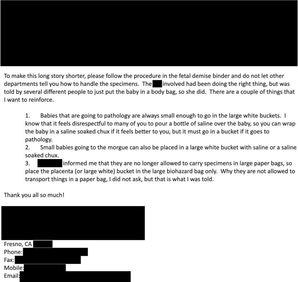 Page 2 of a redacted hospital email on “demise patients.” (Obtained by The Epoch Times)